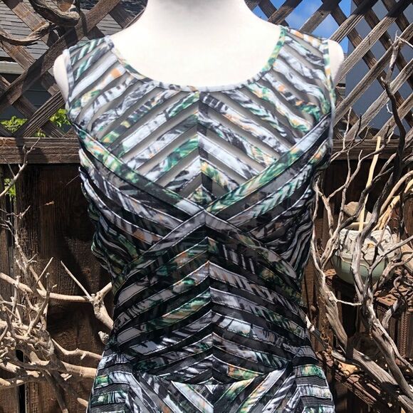 NWOT Parker Mirabella Palm Sleeveless Stripe Dress - Picture 4 of 13